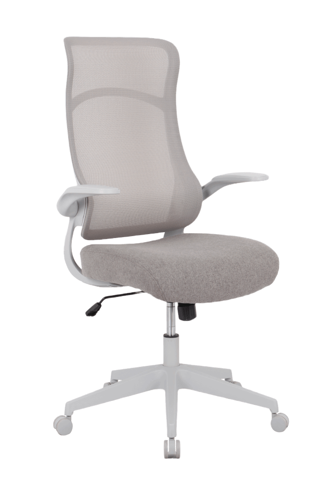 เก้าอี้ทำงานเพื่อสุขภาพ ADAM รุ่น DOT2 ERGO CHAIR GRAVITY GRAY